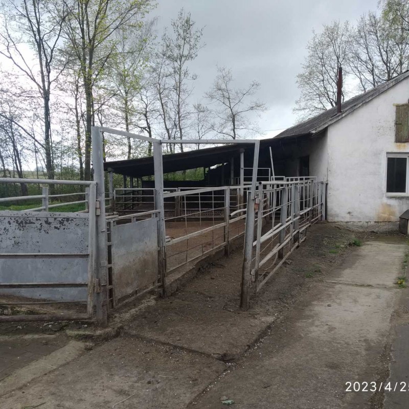 Здається в оренду діюча Бойня  свині   Стрий